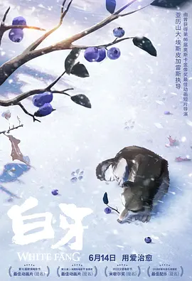 教导员的秘事
